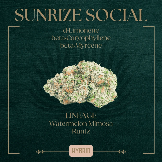 Photograph of product: Sunrize Social - 3.5g