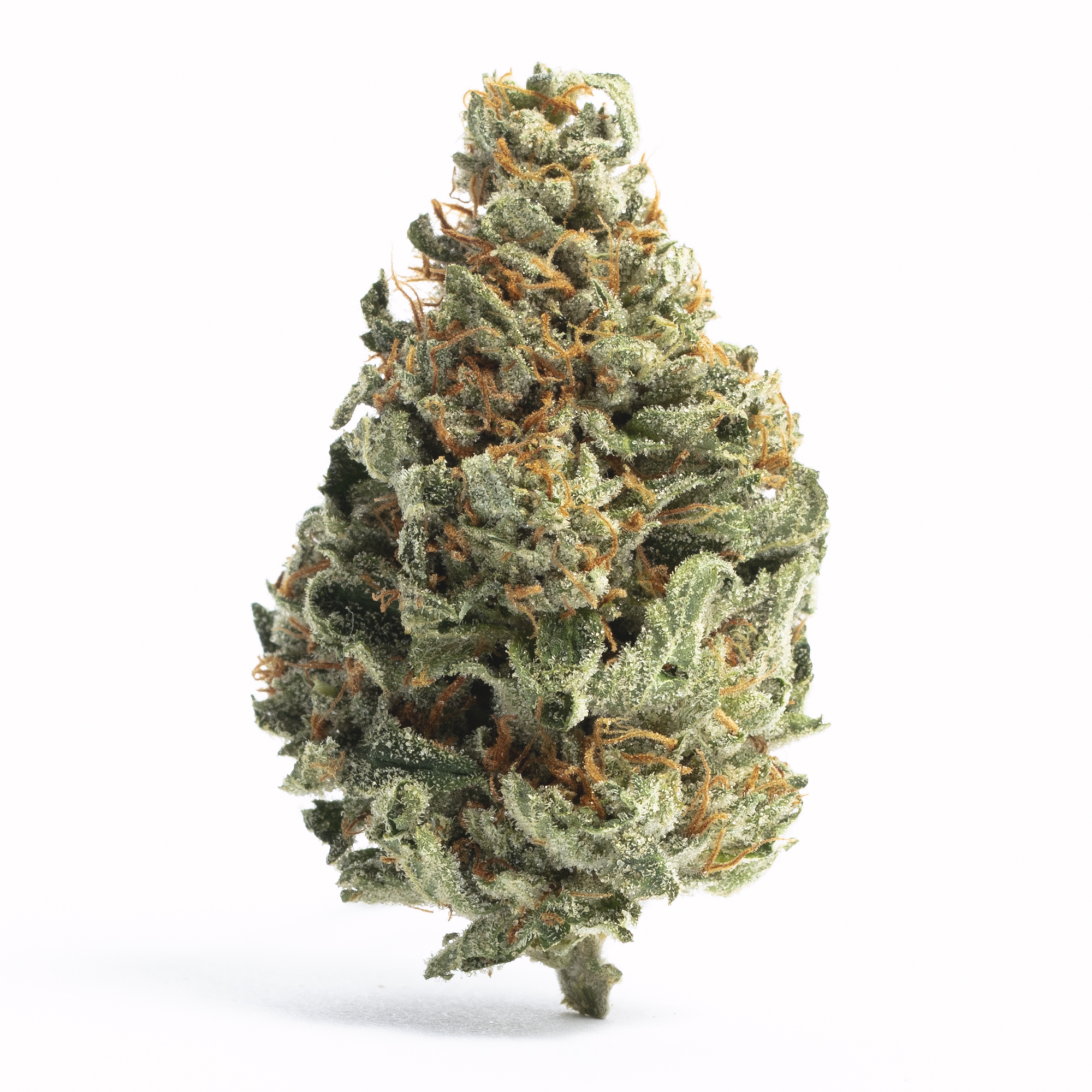 Photograph of product: Platinum Reserve White Runtz Flower - 28g
