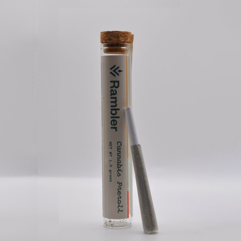 Photograph of product: Golden Haze | 1g Preroll