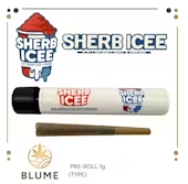 Photograph of product: Blume - Sherb ICEE - 1g Preroll