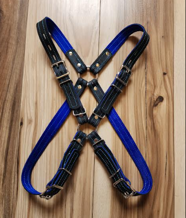 Photograph of product: X-Harness