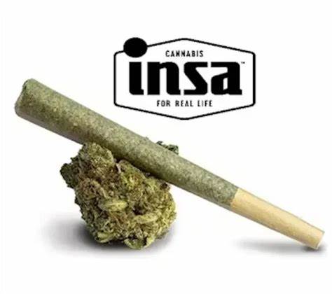 Photograph of product: INSA | Shishkapaya | 1g