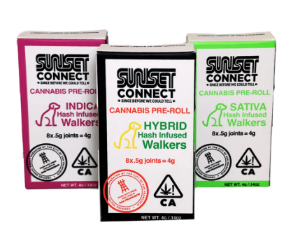 Photograph of product: CHERRY MARKER .5G au chocolat INFUSED PREROLL 8 PACK