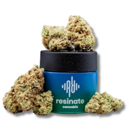Photograph of product: Oregon Lemons Whole Flower - 3.5g