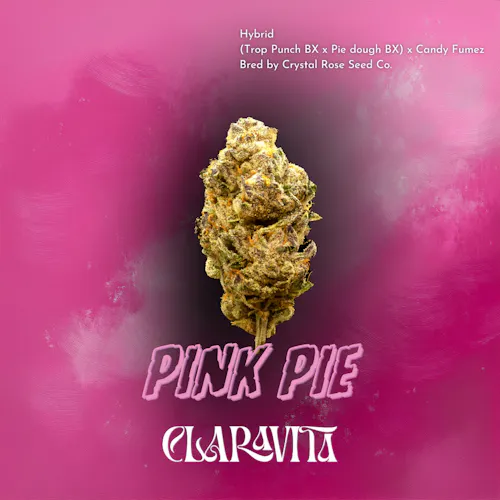 Photograph of product: Pink Pie - Buds 3.5g