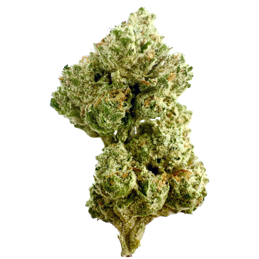 Photograph of product: BURR'S PLACE ORGANICS - PODDY MOUTH #12 7G
