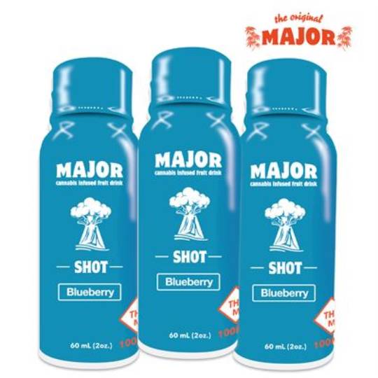 Photograph of product: STASH HOUSE | 100mg | MAJOR BLUEBERRY SHOT