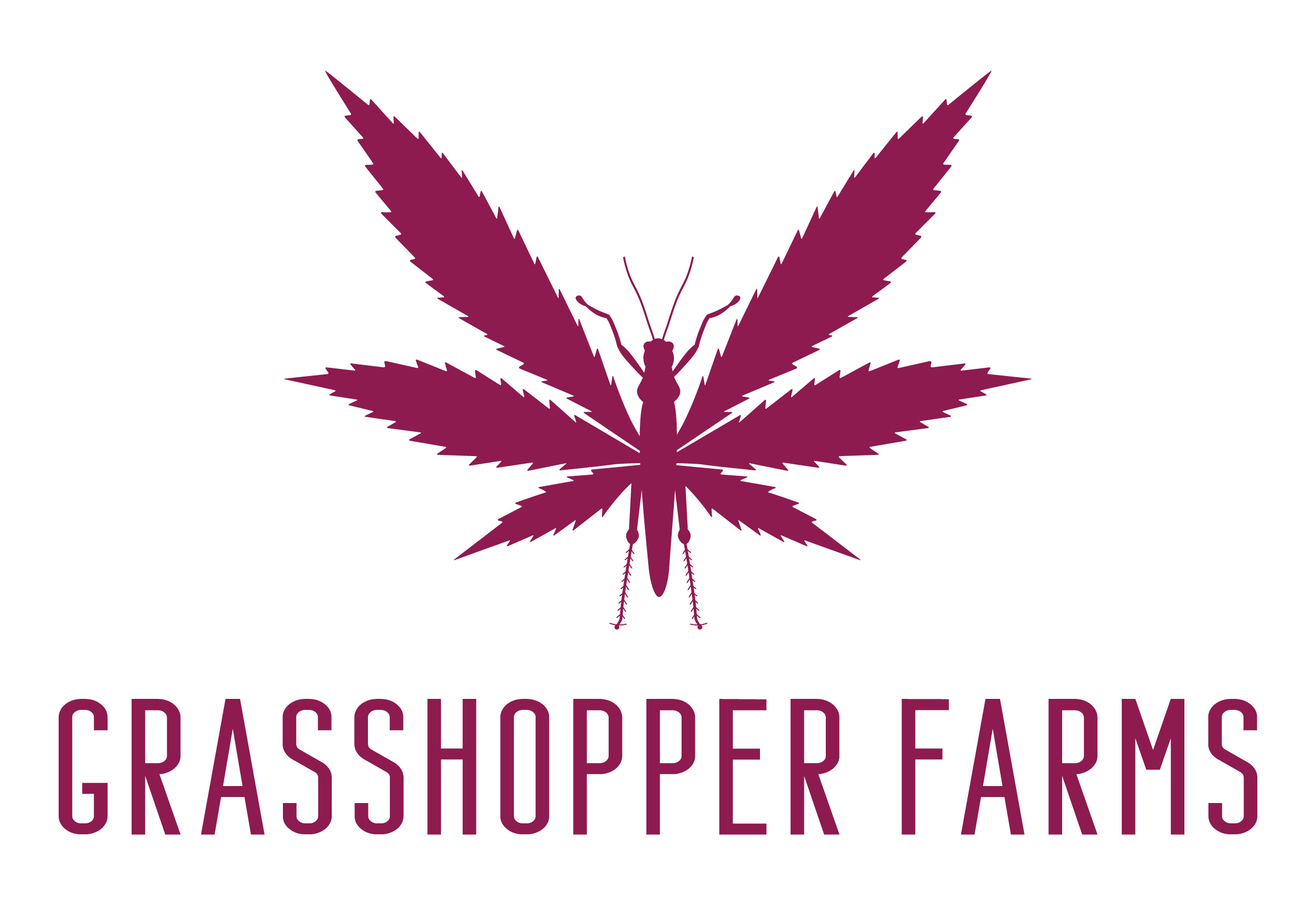 Photograph of product: Grasshopper Farms Preroll | (S/H) Mimosa