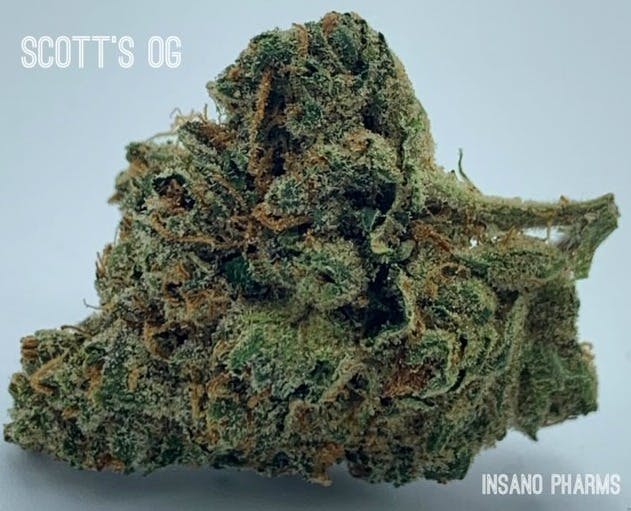 Photograph of product: Scott's OG 3.5g by Insano Pharms