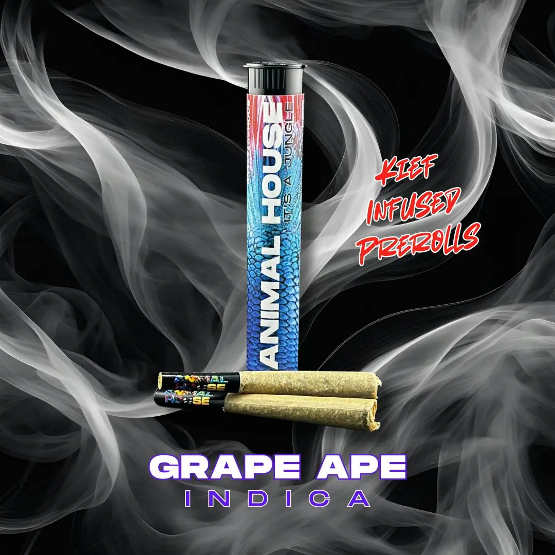 Photograph of product: Animal House Infused Pre-Rolls /2pk - Grape Ape