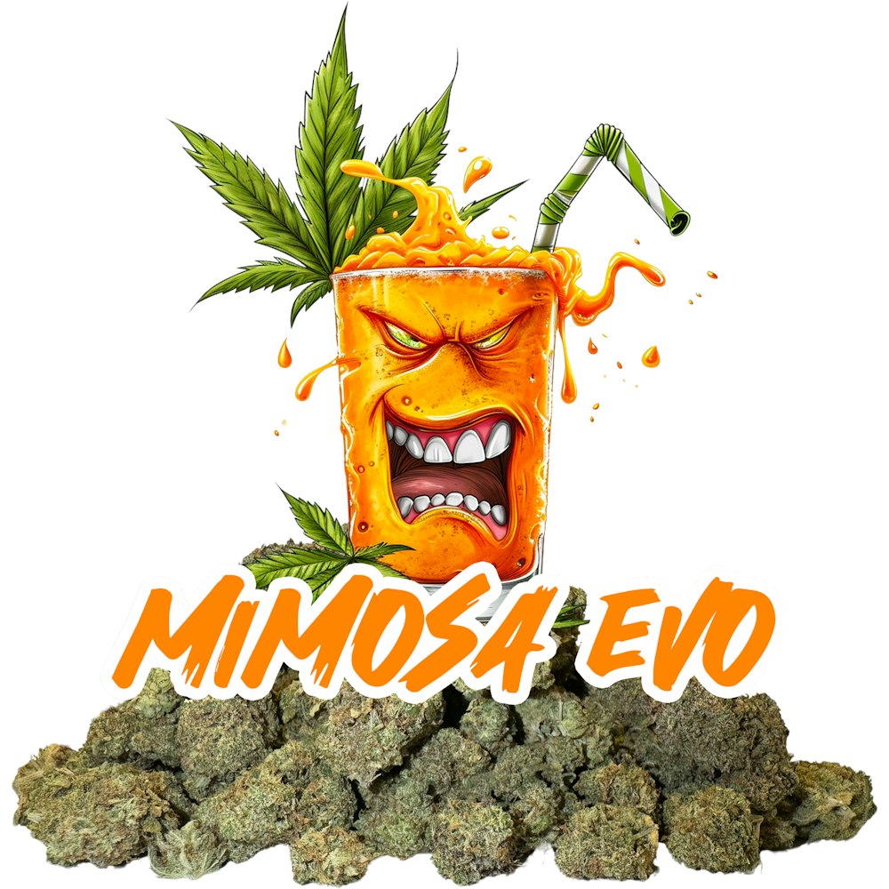 Photograph of Product: Knack Mimosa EVO 14g