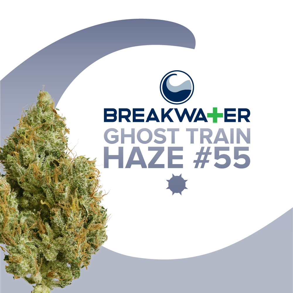 Photograph of product: Ghost Train Haze #55 Premium Flower - 2g