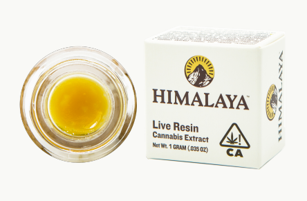 Photograph of product: RAINBOW BURGER 1G