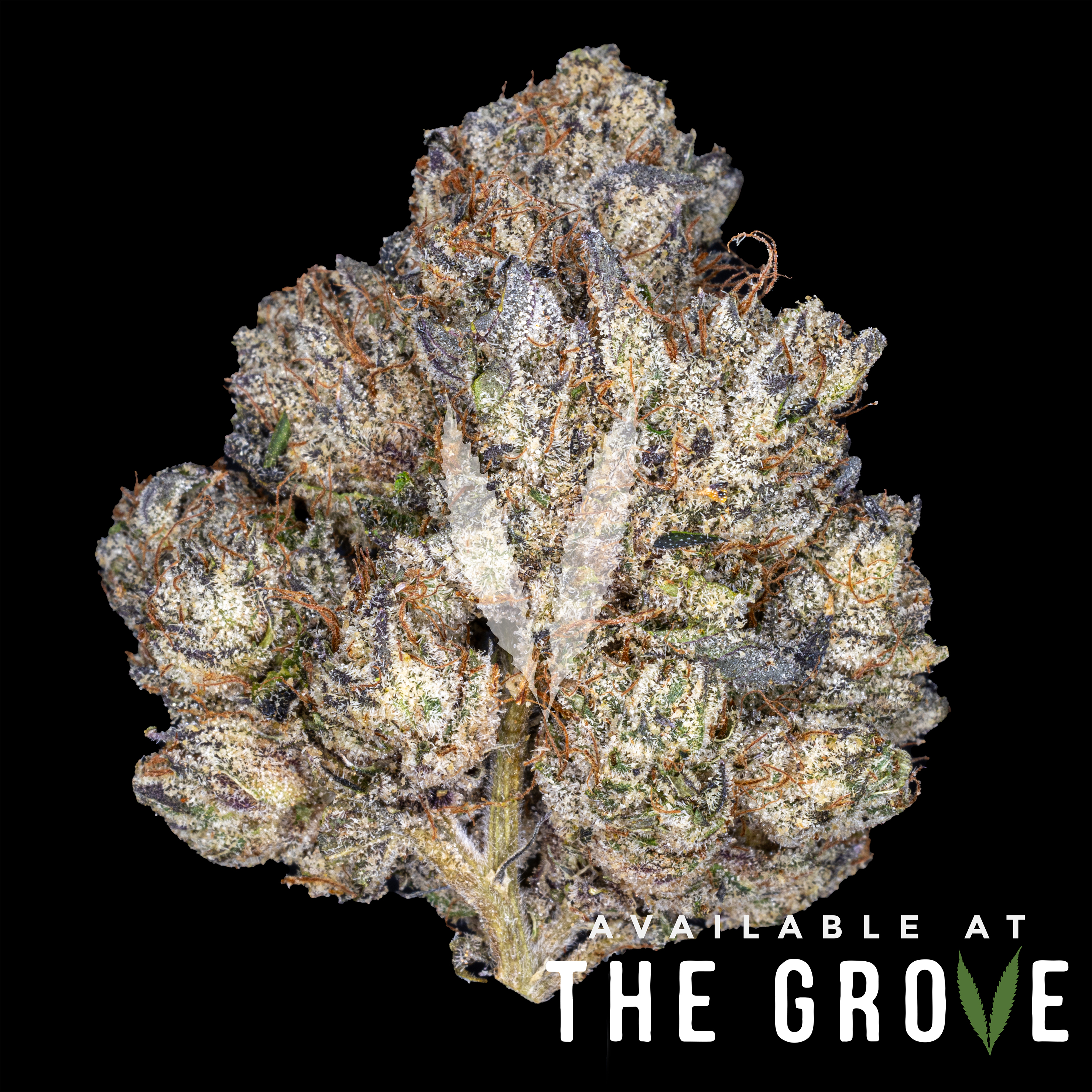 Photograph of Product: Monte Carlo Kush - 3.5g