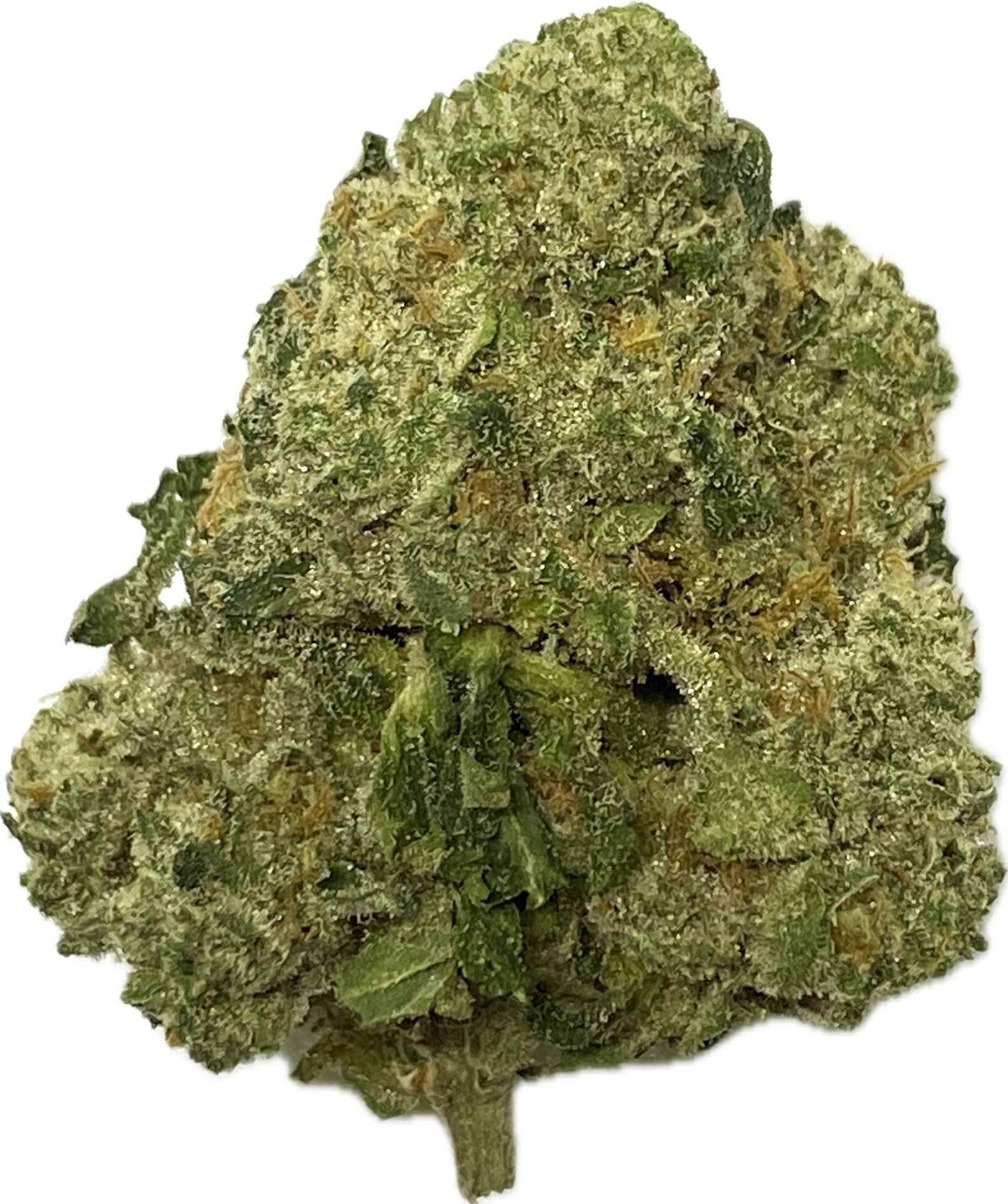 Photograph of product: Grown Rogue - High Society - Bulk Flower - 1g