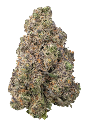 Photograph of product: ZIPS | Loompas Headband 28g