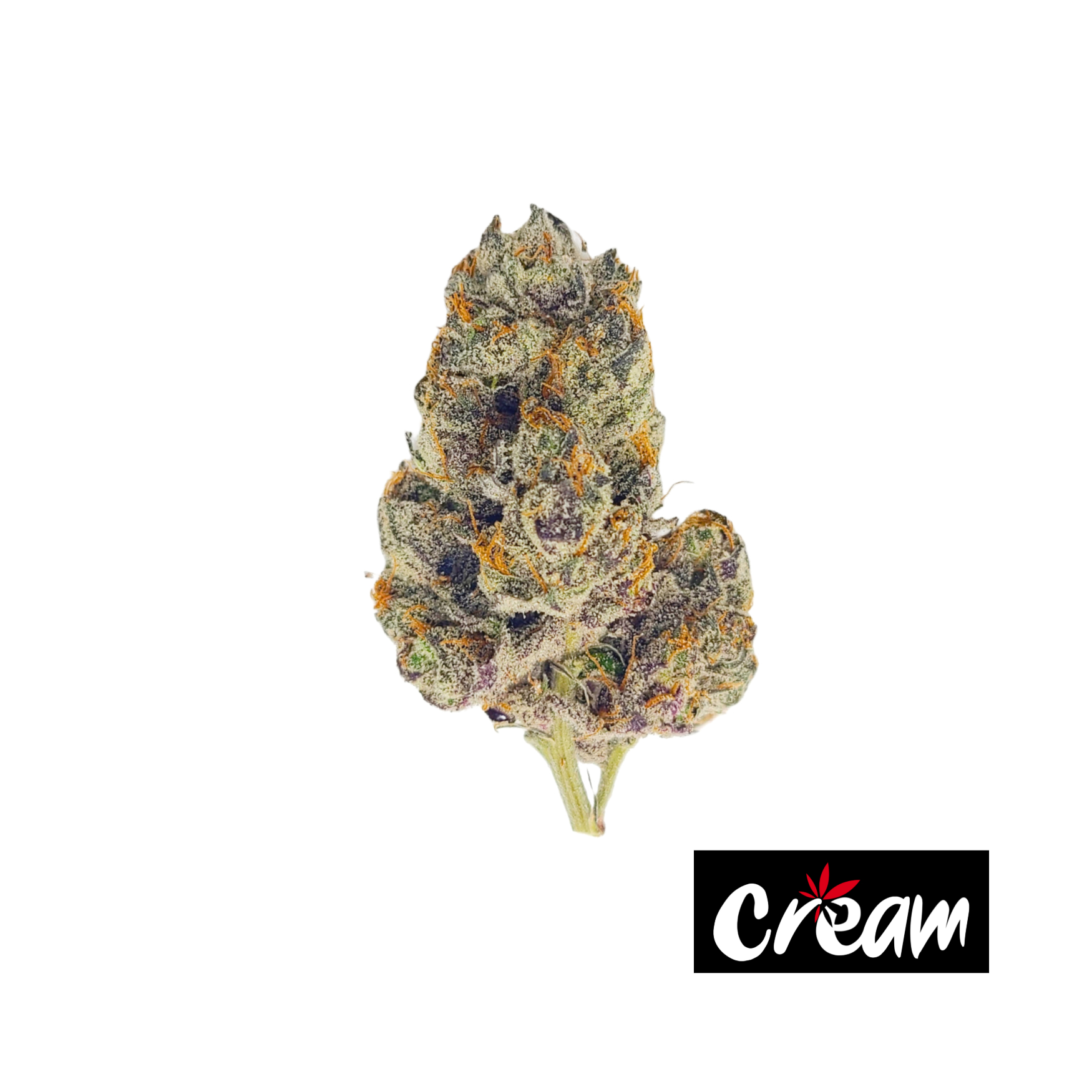 Photograph of product: Rose Gold Runtz, Small Buds (Popcorn) - 7g
