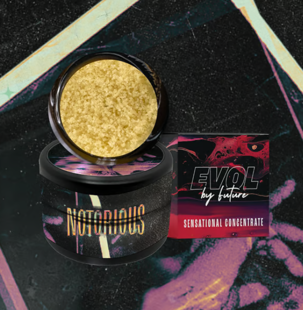 Photograph of product: EVOL Bubble au chocolat Notorious #1 (H)