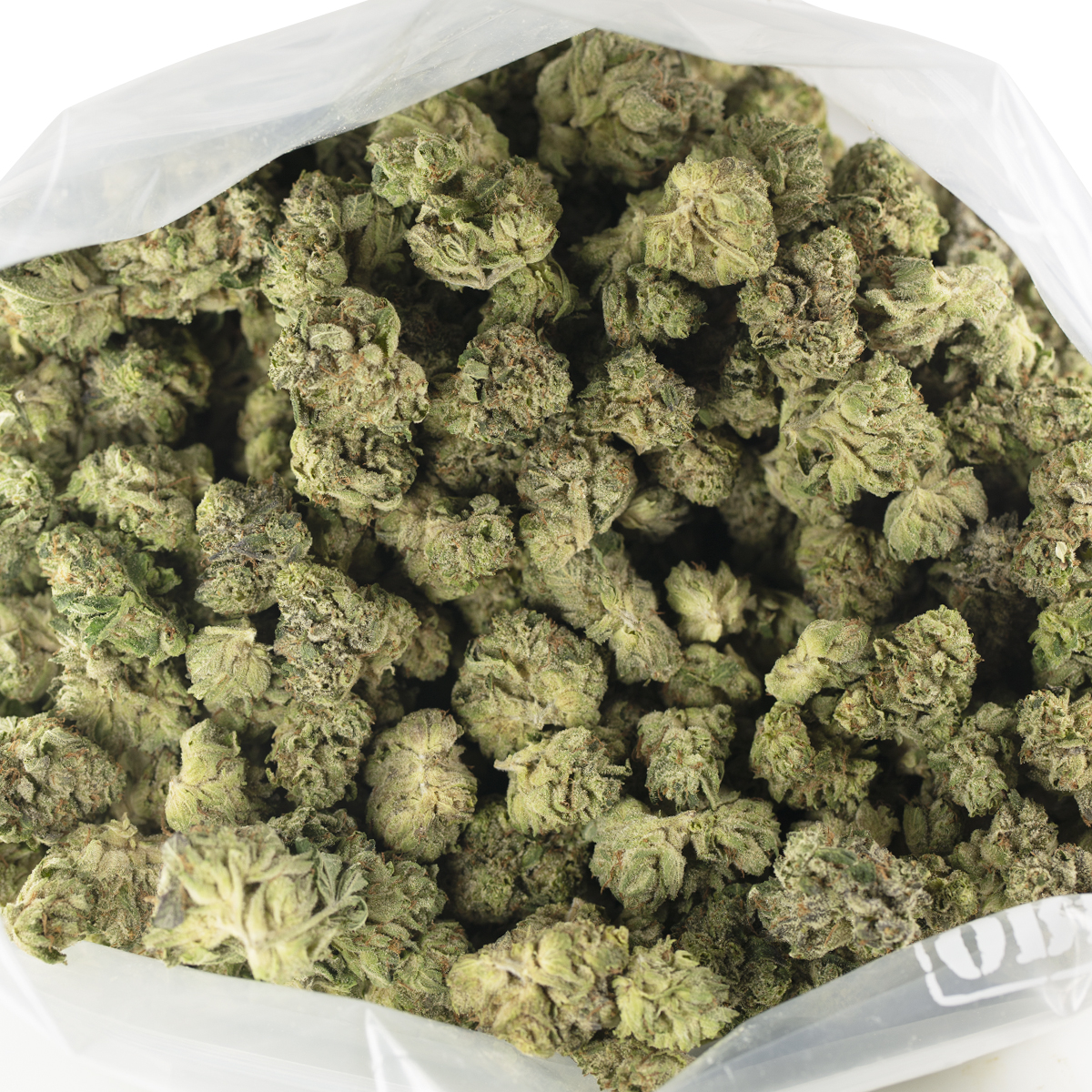 Photograph of product: Grease Monkey (H) Flower 1 OZ - 28g