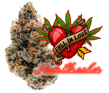 Photograph of product: Heartbreaker (TAX INCLUDED) - 28g