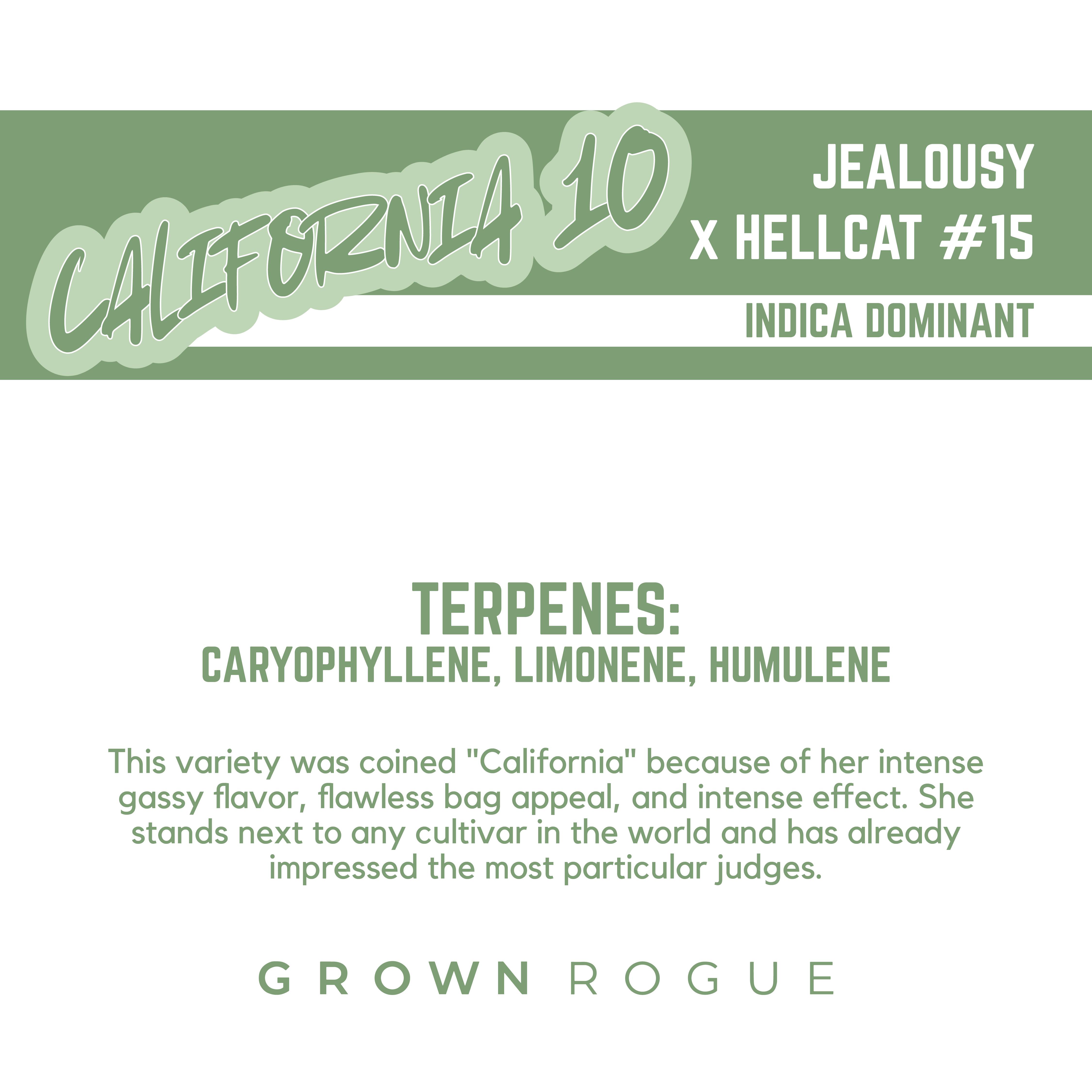 Photograph of product: Grown Rogue Flower 7g- California #10
