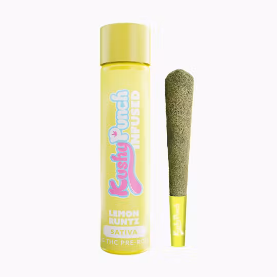 Photograph of product: Kushy Punch: Infused Pre-Roll | Lemon Runtz | 1g
