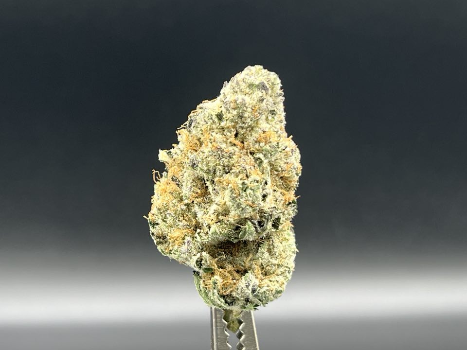Photograph of product: OG Punch | 3.28.25 I - 7g