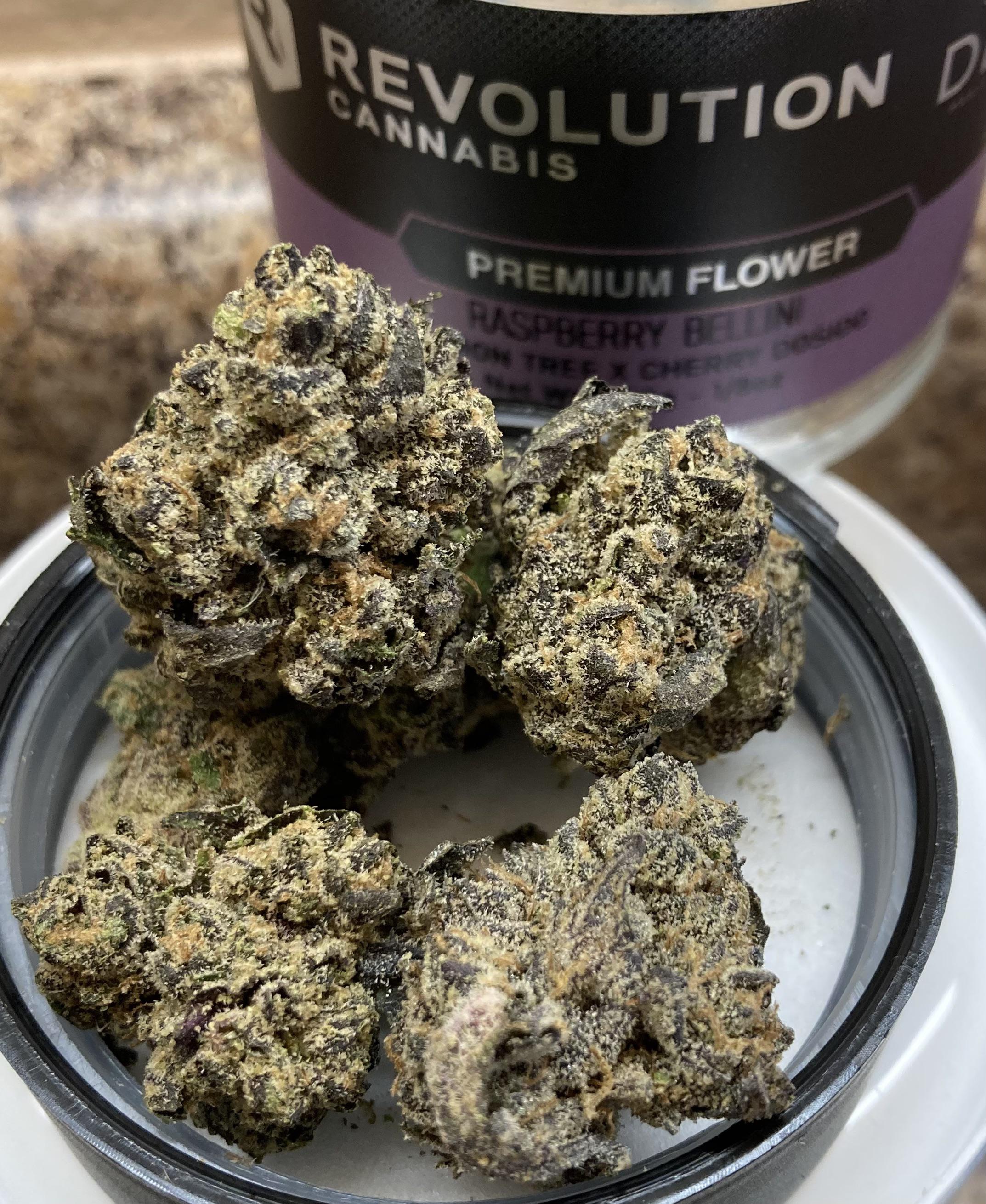 Photograph of product: Revolution Raspberry Cream Cake 3.5g Hybrid Flower