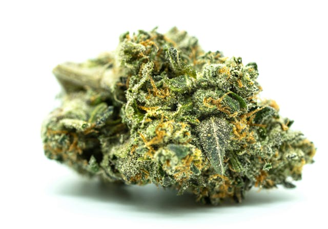 Photograph of product: Top Shelf: Lemon Cherry Gelato 3.5g - 