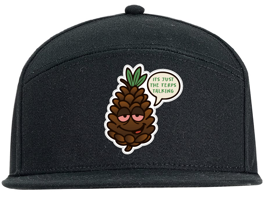 Photograph of product: "It's Just the Terps Talking" 5 Panel Hat