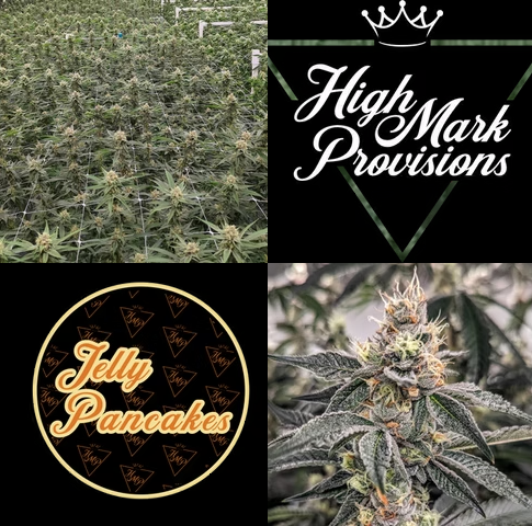 Photograph of product: Jelly Pancakes Flower | 3.5g - Highmark Provisions