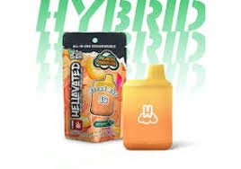 Photograph of product: Clementine Cloud Bar Disposable AIO | 1g | Hellavated