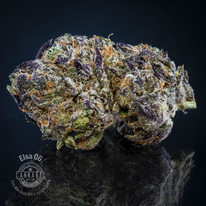Photograph of product: Flower | Elsa OG - 14g