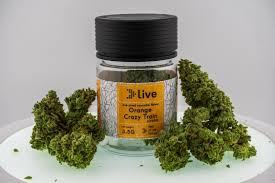 Photograph of product: LIVE | ORANGE CRAZY TRAIN | 3.5 GRAMS FLOWER - 3.5g