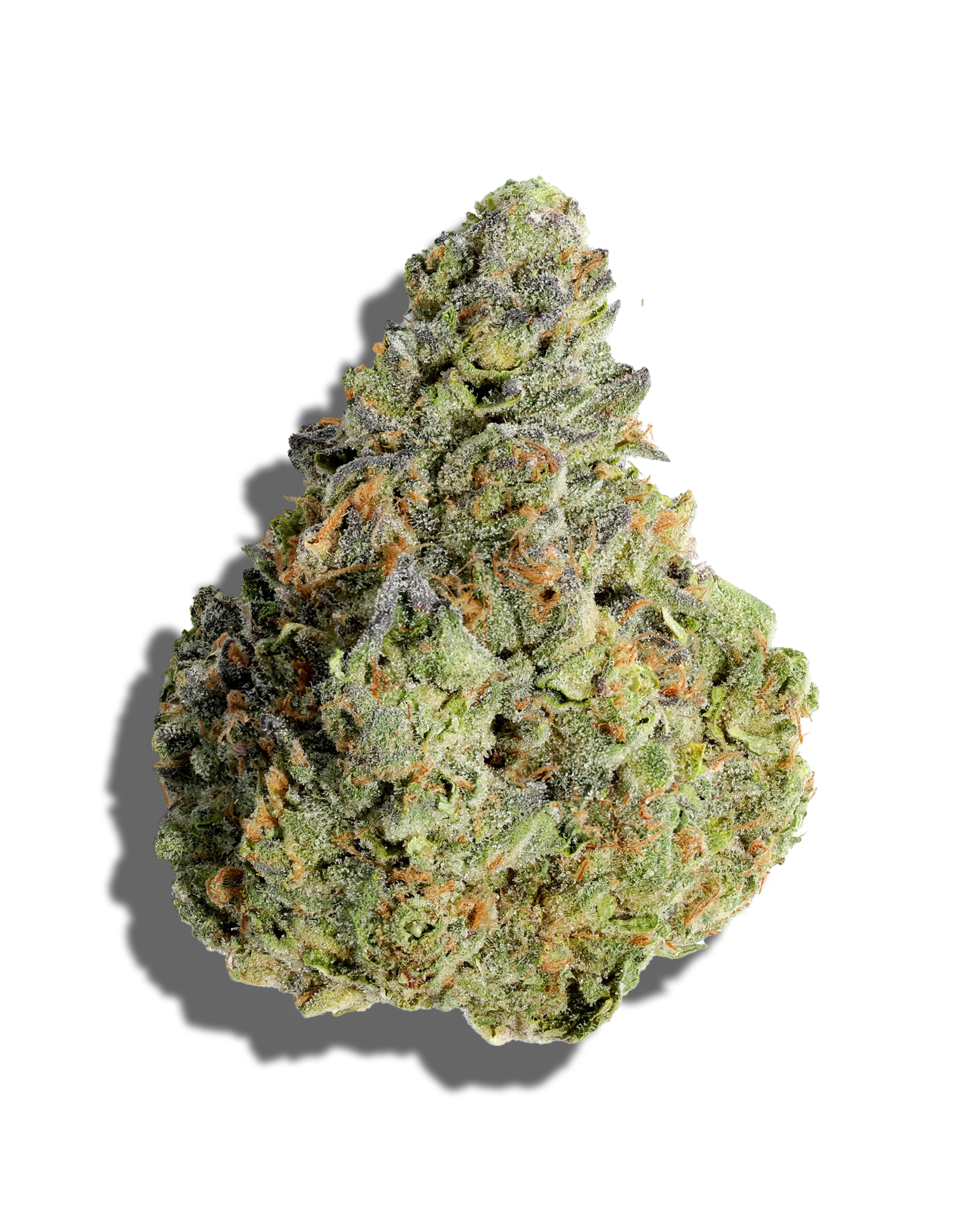 Photograph of product: Rainbow Beltz - 28g