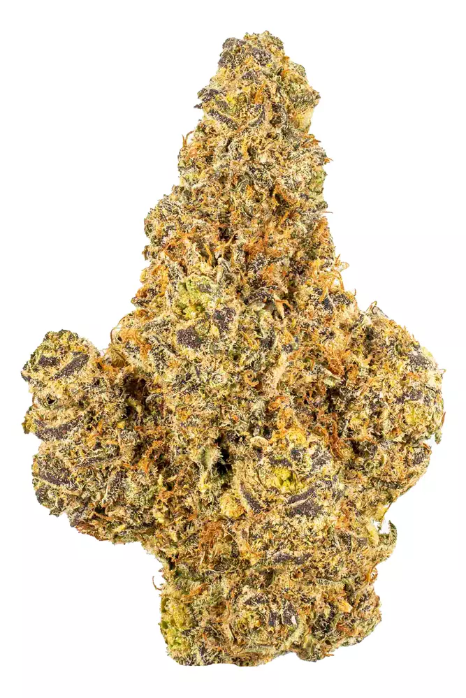 Photograph of product: Codes Member Berry Flower | 14g