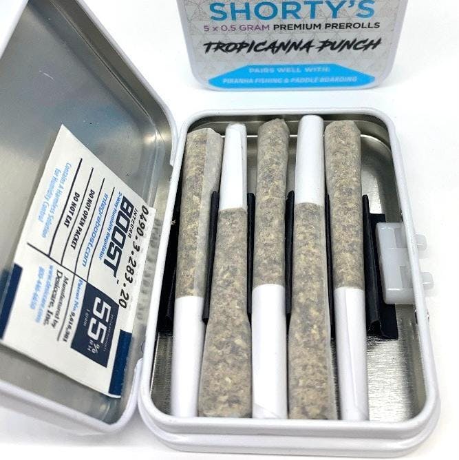 Photograph of product: Trivium Shorties 5pk - Tropicana Punch