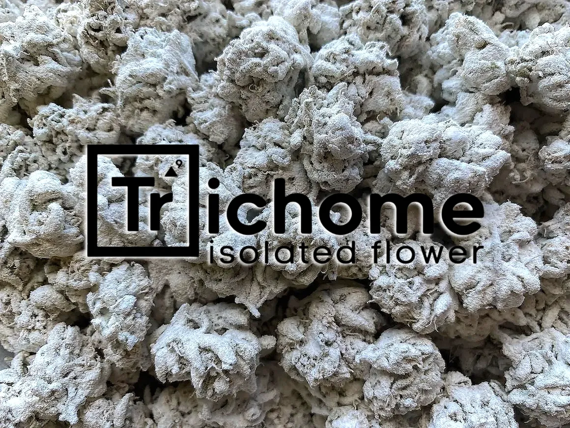 Photograph of product: Nine Lions (H) - Concentrate - Isolated Flower - 1g