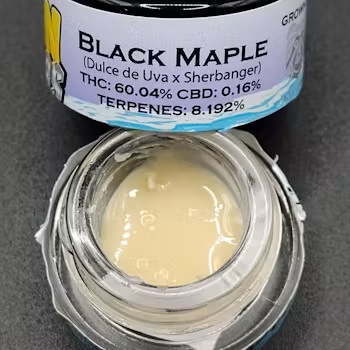 Photograph of product: Black Maple 2g | Rosin | Rosin Raiders