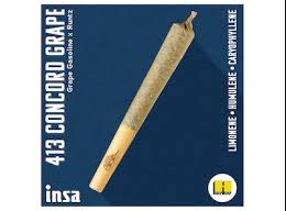 Photograph of product: 413 Concord Grape Pre-Roll | 1g