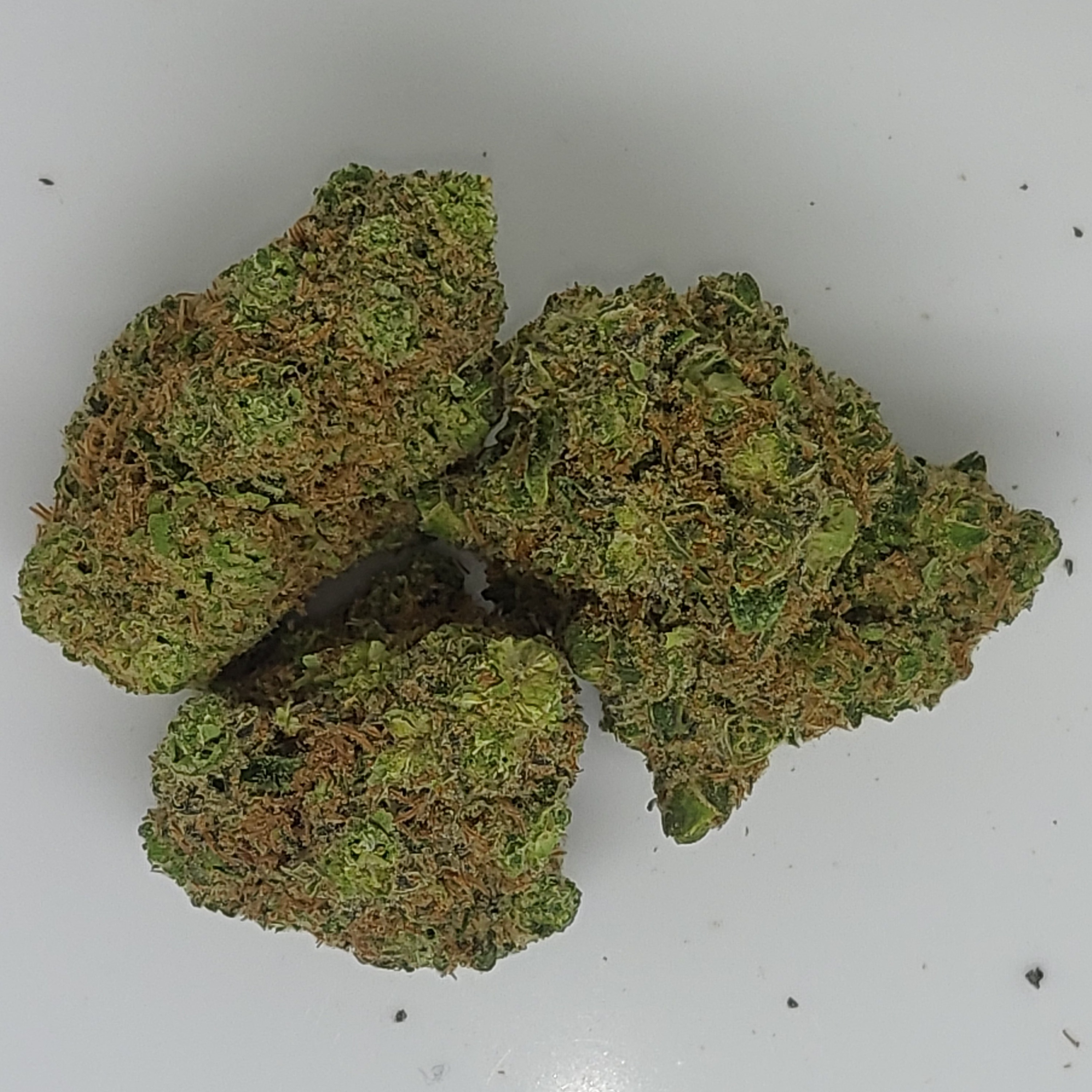 Photograph of product: White Widow 3.5g Flower 25.84% TH-oui by ALASKAbuds