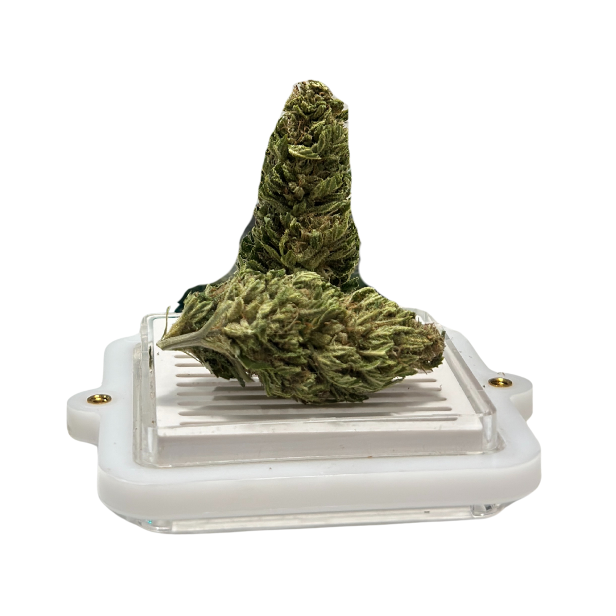 Photograph of product: Blue Dream | Flower Bar - 28g
