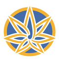 thumbnail-Size Logo for storeLogo: Euphoria Wellness