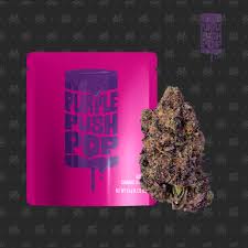 Photograph of product: SJ- Purple Push Pop 3.5 - 3.5g