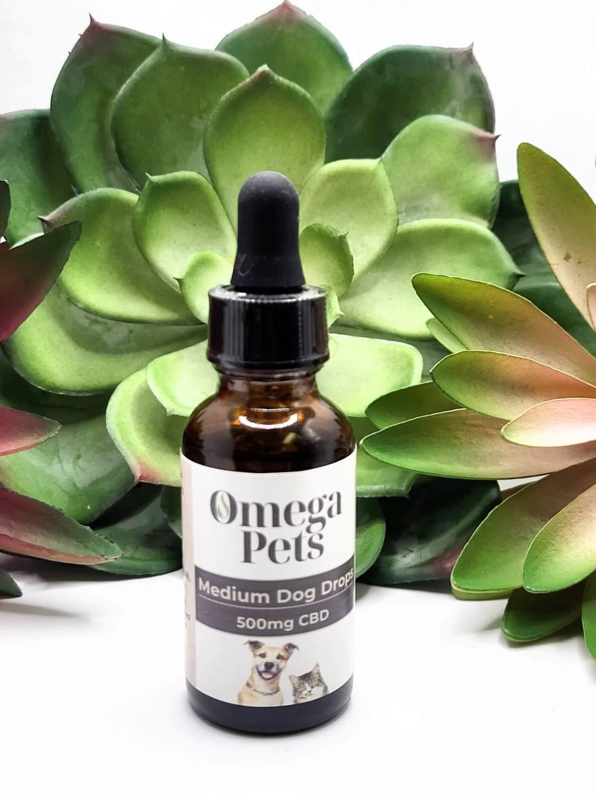 Photograph of product: AtoZ BOTANICALS - PET CBD - 500MG - MEDIUM