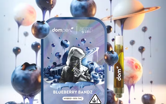 Photograph of product: Dom - Cartridge - Evol by Future - (H) - Blueberry bandz