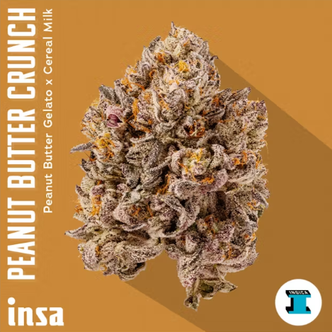 Photograph of product: INSA Peanut Butter Crunch 3.5g