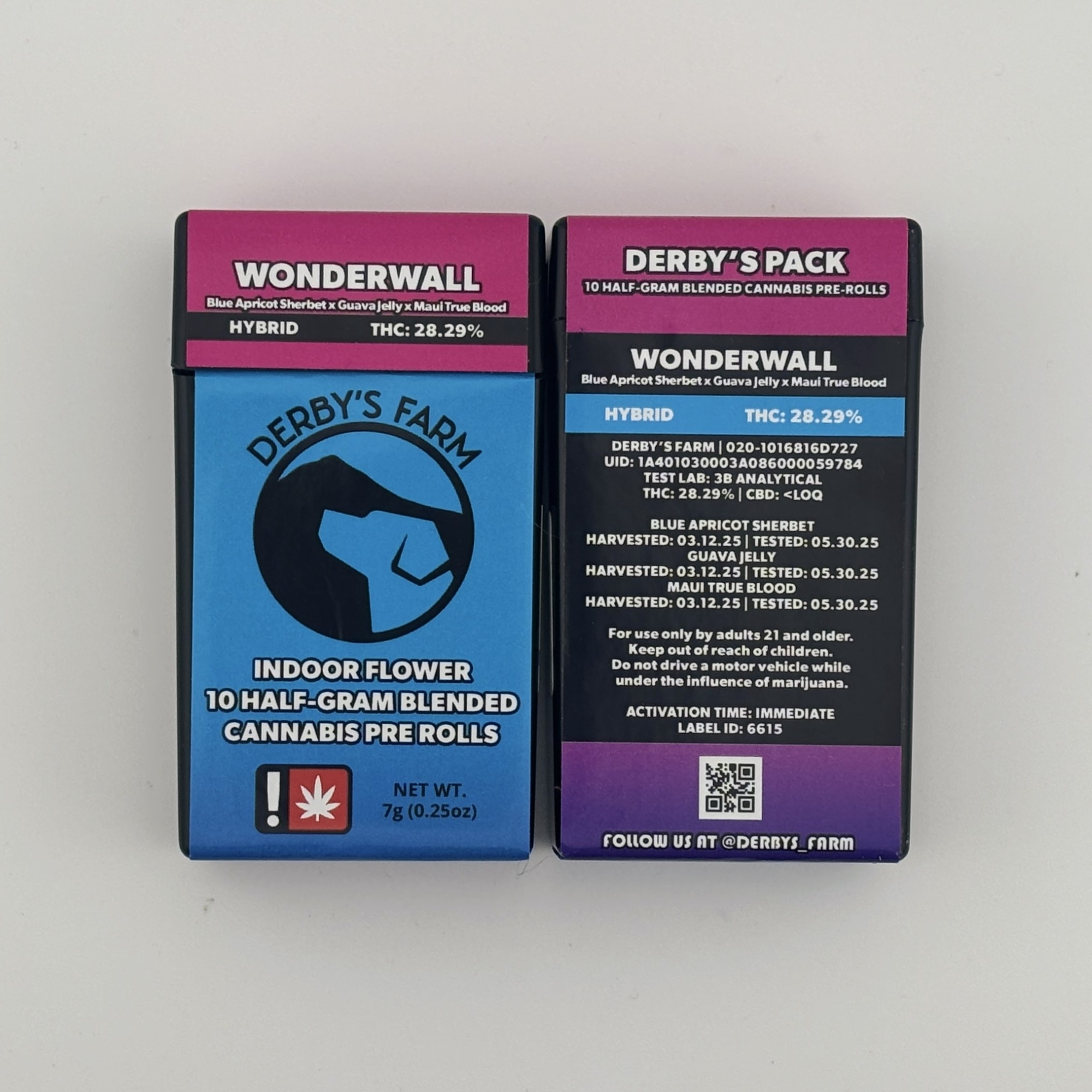 Photograph of product: Derbys | 10pk PR [H] | Wonderwall