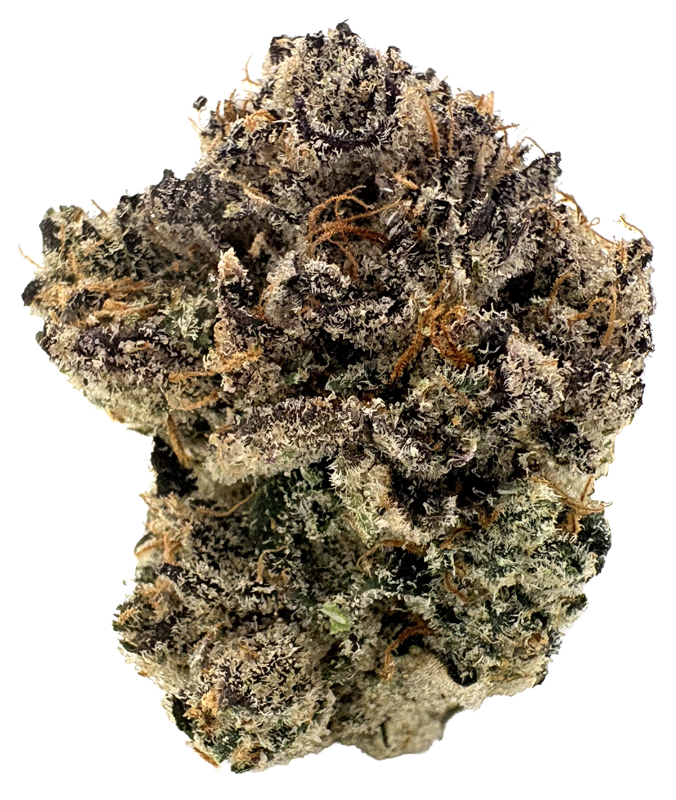 Photograph of product: CBX | Bluebert | 3.5G