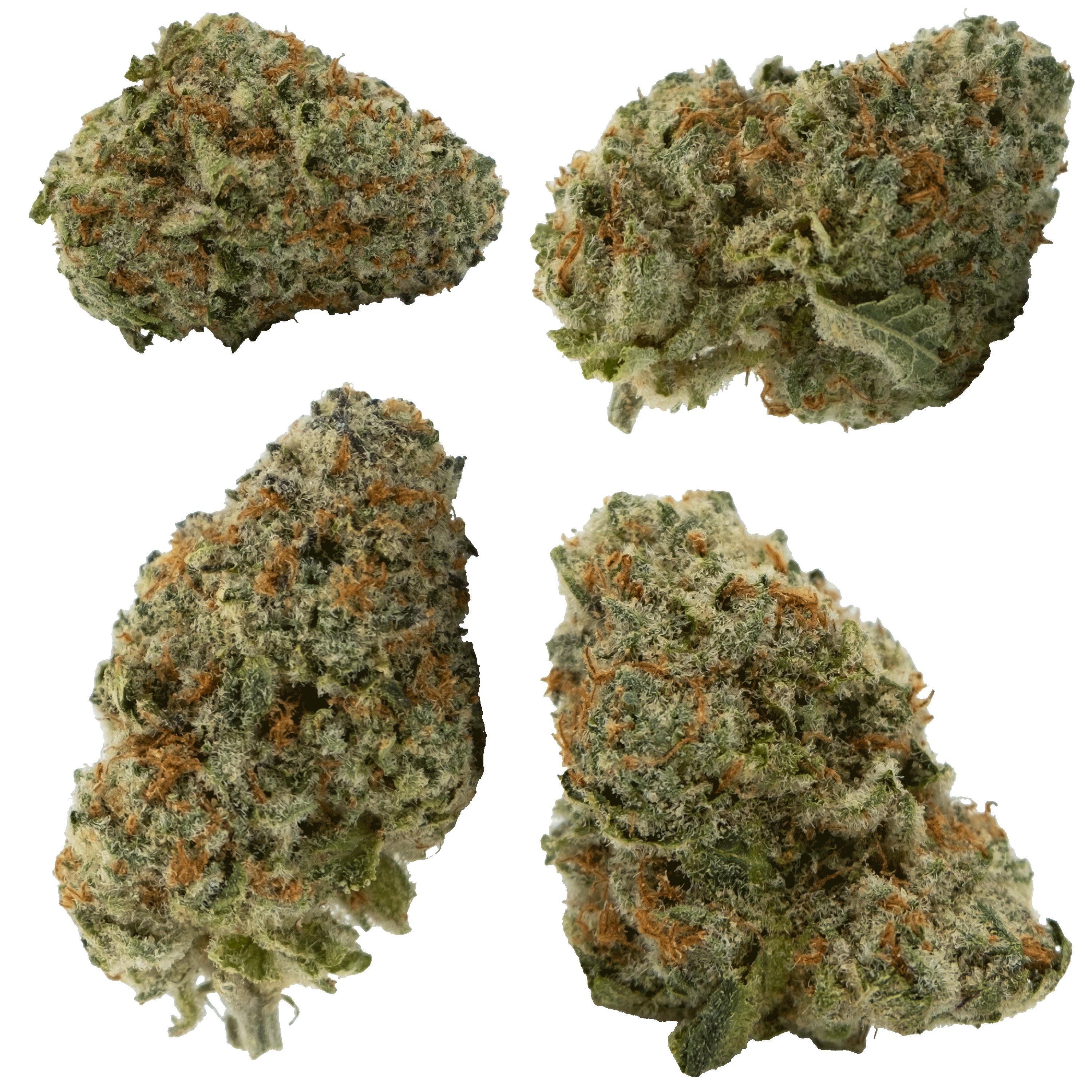 Photograph of product: Purple Sunset - 28g